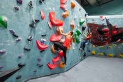 Tájékoztató a felmentéshez szükséges igazolások kiállításáról